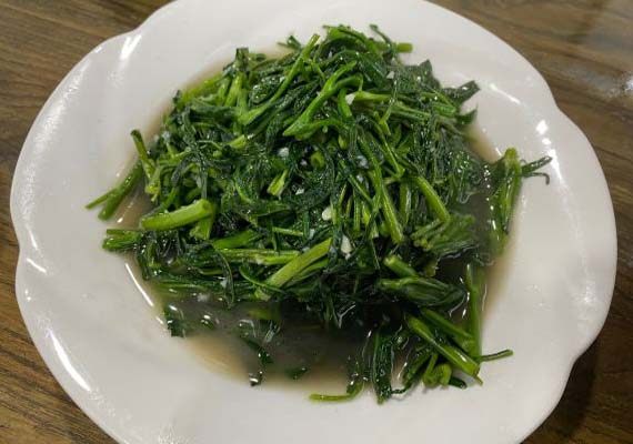西红柿焖饭正宗做法,怎样做最好吃