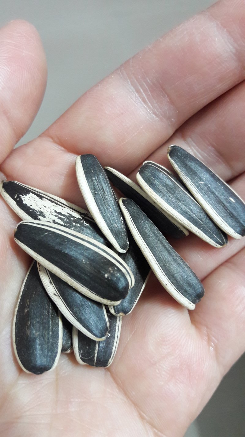 咸香做法大全,10种做法