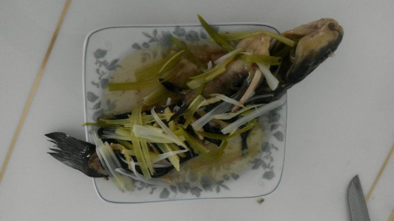 椰汁米糕十大家常做法,怎样做最好吃