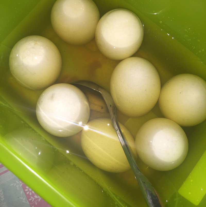 腌蛋十大家常做法,食谱大全