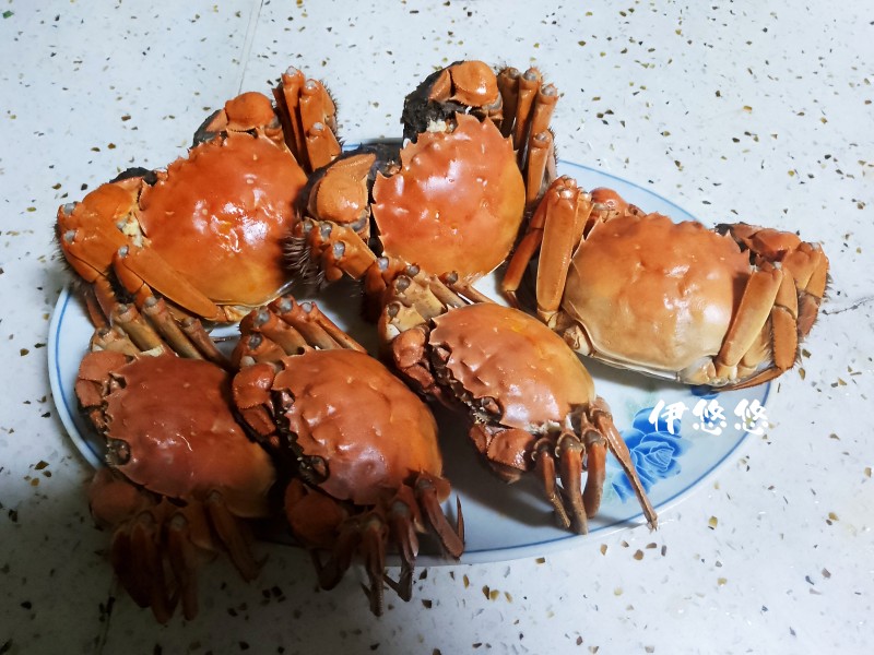 西红柿饼怎么做,做法和配料
