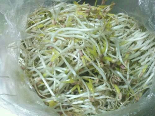 栗子豆腐怎么做才好吃,制作方法与配料